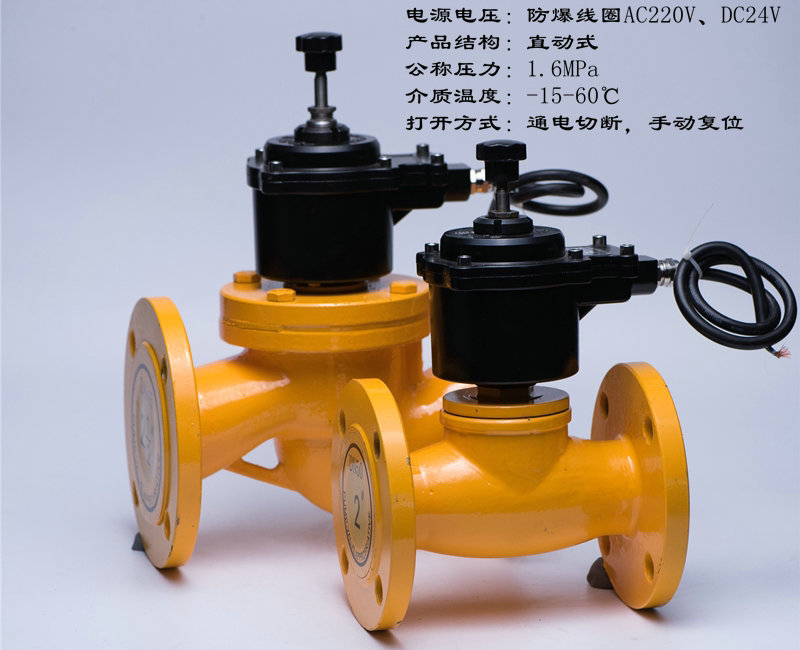 燃?xì)怆姶砰y高清實物圖 燃?xì)怆姶砰y高清實物圖