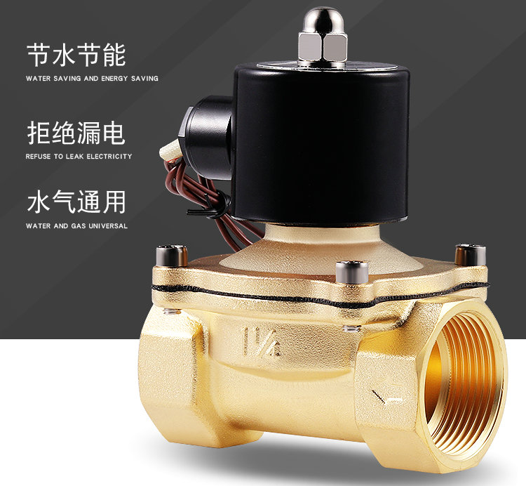 黃銅電磁閥實(shí)物圖 黃銅電磁閥實(shí)物圖