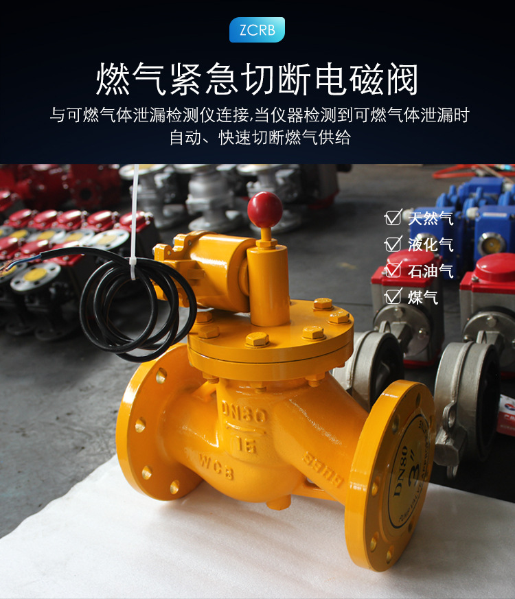 天然氣緊急切斷閥高清實(shí)物圖 天然氣緊急切斷閥高清實(shí)物圖